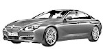 BMW F06 P2396 Fault Code