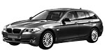 BMW F11 P2396 Fault Code